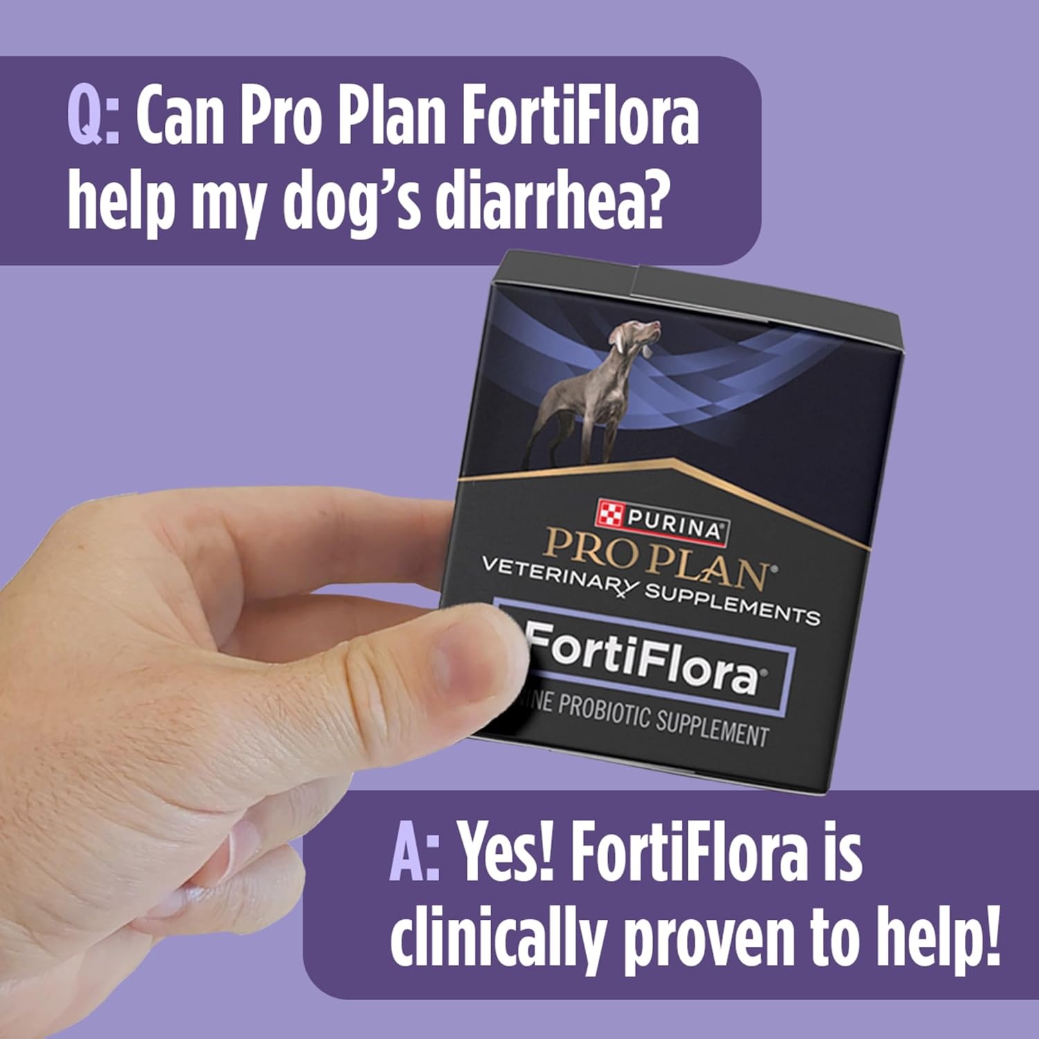 image:imagePurina Pro Plan Veterinary Supplements FortiFlora Dog Probiotic Supplement60 Count