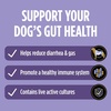 Purina Pro Plan Veterinary Supplements FortiFlora Dog Probiotic Supplement(60 Count)